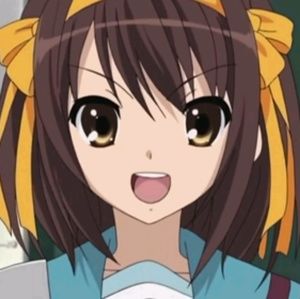 Meet your Posher, Ann